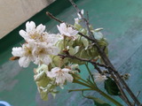 mini_120322_0912