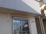 写真 4